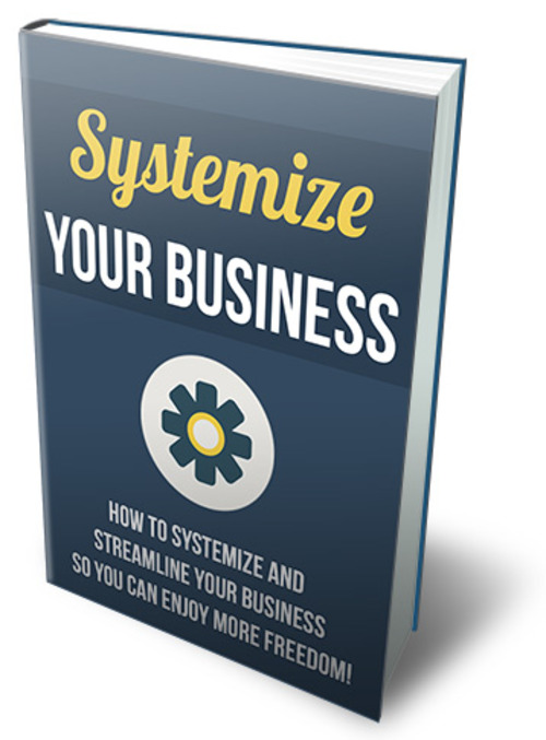 Product picture Systemize Your Business To Reap In More Profits