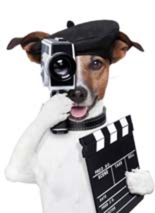 Product picture Video Marketing Mastery